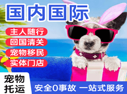 运城航空托运国际宠物托运 【国
